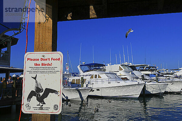 Usa  Florida. Key West. No feed bird sign