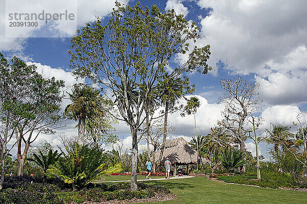 USA. Floride. Naples. Naples Botanical Garden. Touristes en train de se promener dans le jardin.