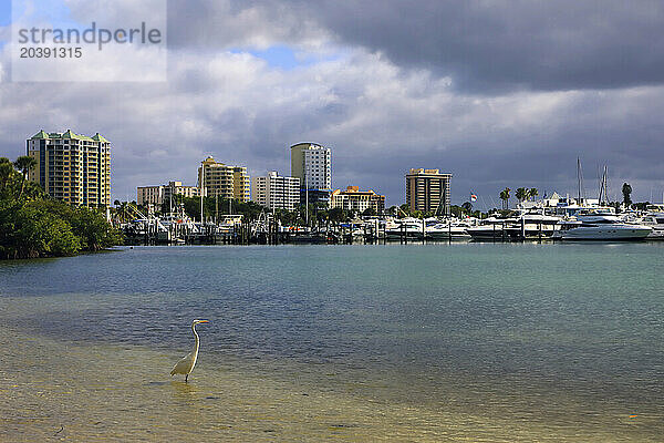 Usa  Florida. Sarasota