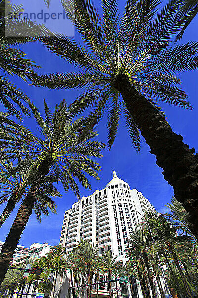 Usa  Florida  Miami. Miami Beach. Miami Beach  South Beach  Collins avenue  Loews Hotel