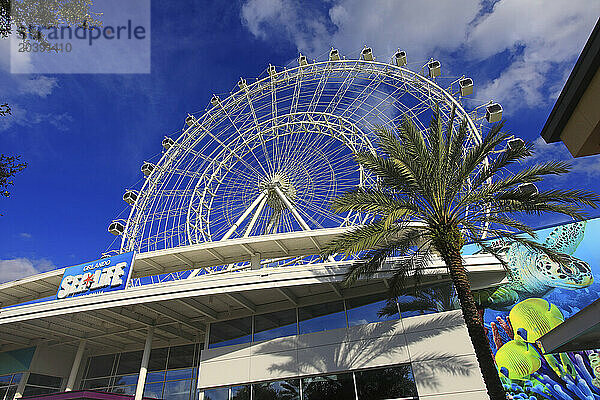 Usa  Floride  Orlando. big Wheel. Icon Park