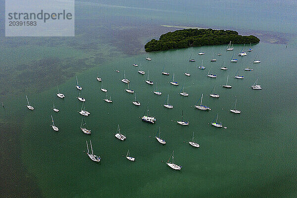 Usa  Florida  Miami. Key Biscayne  Crandon Park Marina. Biscayne Bay