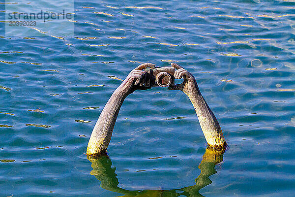 France  Troyes  submerged statue of arms holding a camera