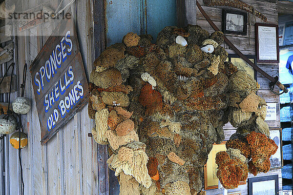 Usa  Florida. Key West. Mannequin made of natural sponges