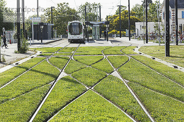 France  Nantes  44  gazon entre les rails du tramway au terminus de la gare SNCF Rezé-Pont-Rousseau