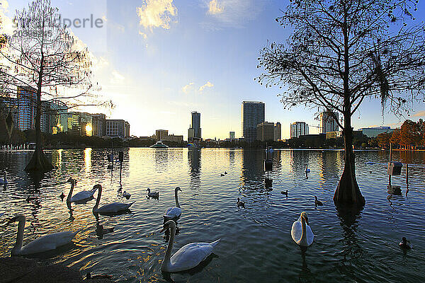 Usa  Floride  Orlando. Lake Eola Park