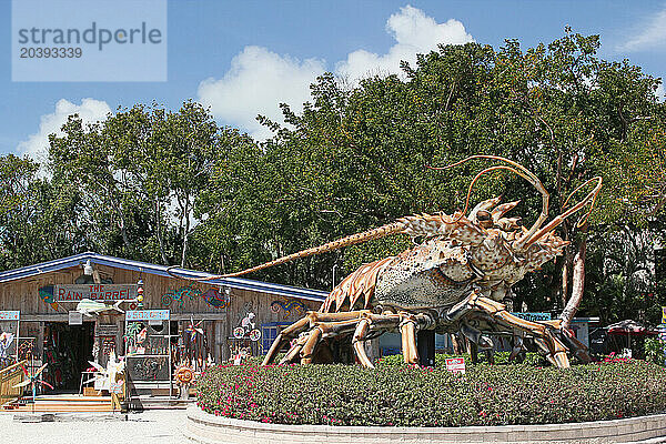 USA. Floride. Les Keys. La Islamorada. Homard géant devant un magasin de souvenirs.