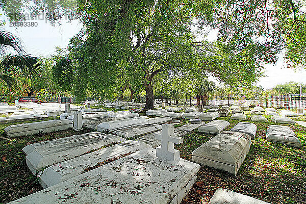 USA. Floride. Miami. Quartier de Coconut Grove. Le cimétière Charlotte Jane Memorial Parc  lieu où a été tourné le clip Thriller de Michael Jacskon.