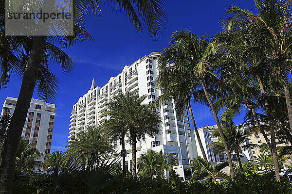 Usa  Florida  Miami. Miami Beach. Miami Beach  South Beach  Collins avenue  Loews Hotel