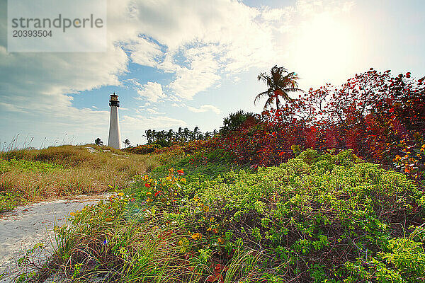 Etats-Unis. Floride. Miami. Key Biscayne. Bill Baggs Cape Florida State Park. Le phare.