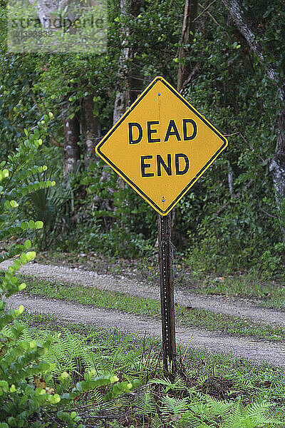 Usa  Florida. Everglades. Loop Road. Dead end