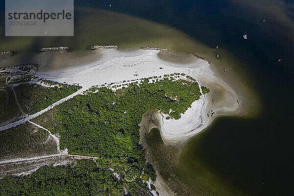 Usa  Florida. Hillsborough County. Apollo beach. Apollo Beach Nature Preserve