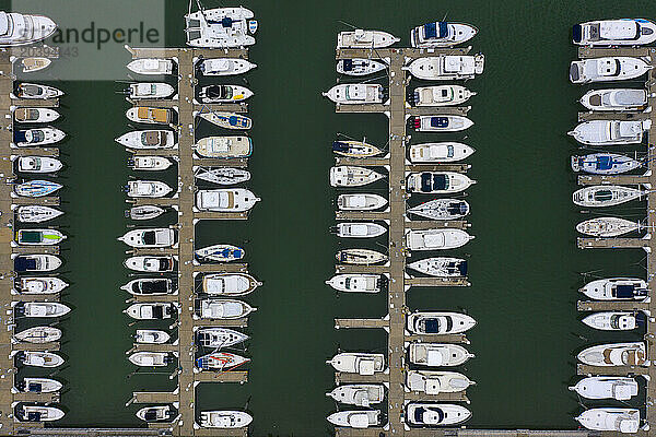 Usa  Florida  Miami. Key Biscayne  Crandon Park Marina. Biscayne Bay