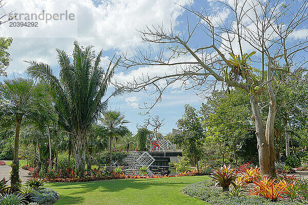 USA. Floride. Naples. Naples Botanical Garden.