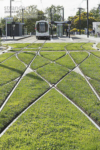 France  Nantes  44  gazon entre les rails du tramway au terminus de la gare SNCF Rezé-Pont-Rousseau