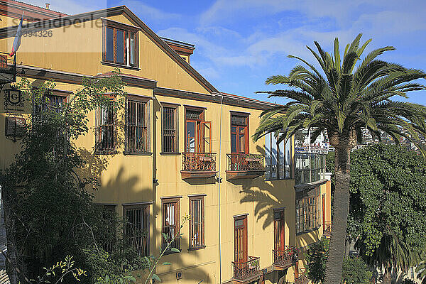 Chile  Valparaiso  house  palm tree  street scene