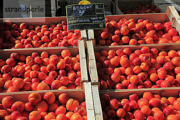 France  Occitanie  Tarn et garonne (82)  Moissac  the market