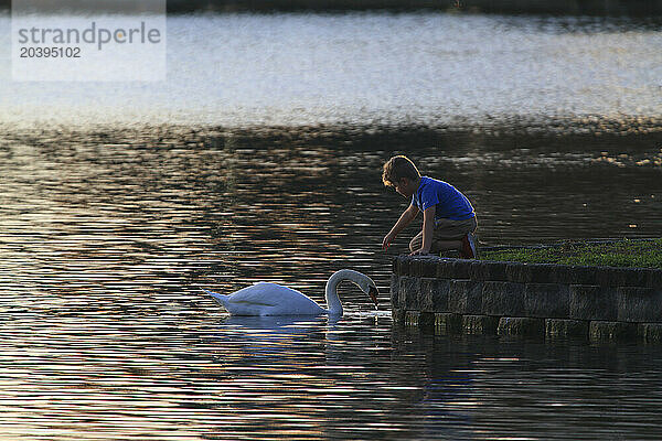 Usa  Floride  Orlando. Lake Eola Park