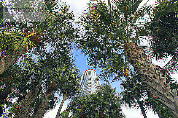 Usa  Florida  Miami Beach. South Beach