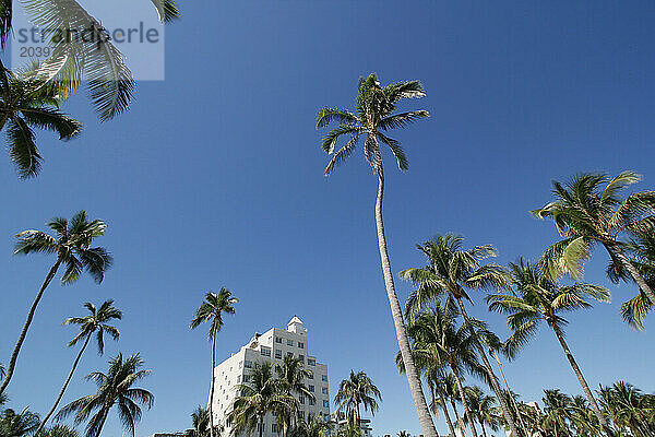 USA. Floride. Miami. Miami Beach. South Beach. Ocean Drive.