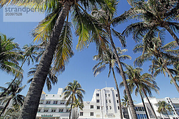 USA. Floride. Miami. Miami Beach. South Beach. Ocean Drive.