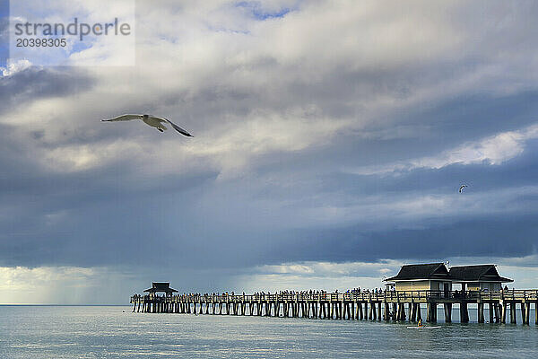 Usa  Florida. Naples. Naples Pier