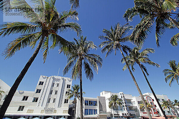 USA. Floride. Miami. Miami Beach. South Beach. Ocean Drive.