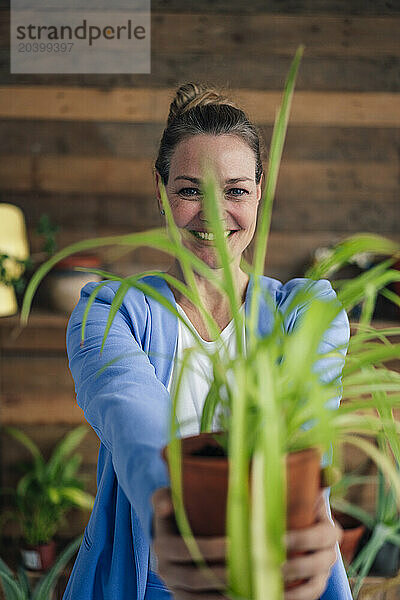 Happy businesswoman holding potted plant in office