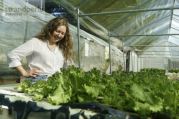 Smiling farm worker growing plants in greenhouse