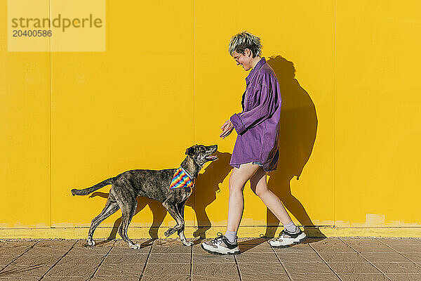 Lesbian woman spending leisure time with dog in front of yellow wall