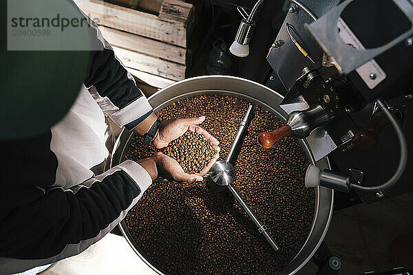 Hands of coffee roaster holding roasted coffee beans near machinery