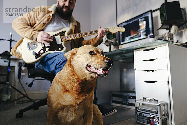 Dog sitting next to owner at home