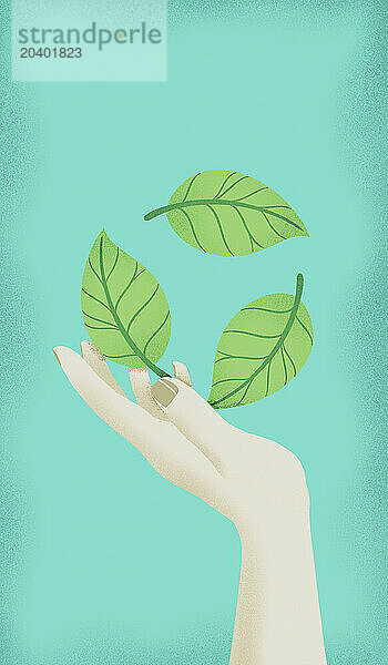 Hand with green leaves against turquoise background