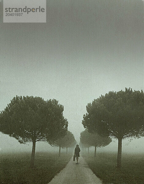 Illustration of woman carrying suitcase walking on road amidst trees in mist