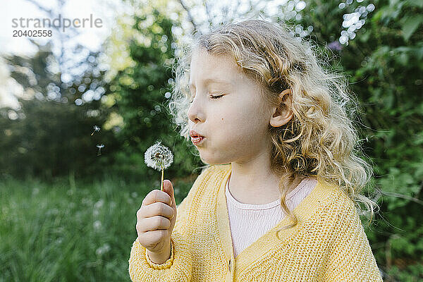 Blond curly haired girl blowing on dandelion flower near trees