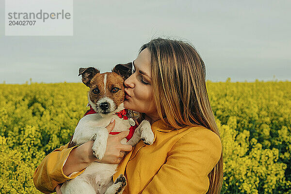 Young woman kissing jack Russell terrier dog in rapeseed field on sunny day