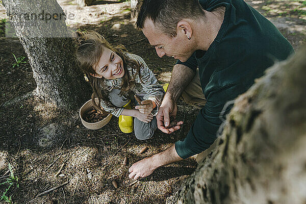 Happy father and daughter collecting pine cones together in forest