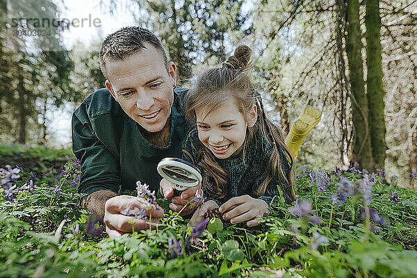 Happy girl and father looking at flowers with magnifying glass in forest