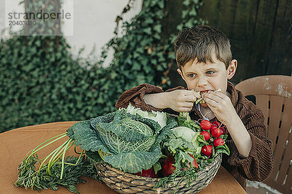 Boy eating fresh organic vegetable from vintage wicker basket on table in back yard