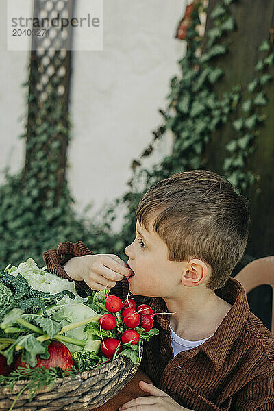 Boy eating organic vegetable from vintage wicker basket in back yard