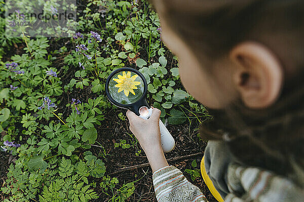 Girl looking at yellow flower with magnifying glass in forest