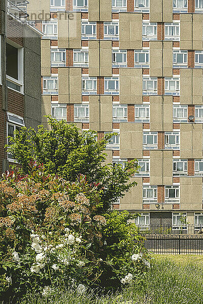 Council Estate  Shoreditch  London  UK © Dosfotos/Axiom