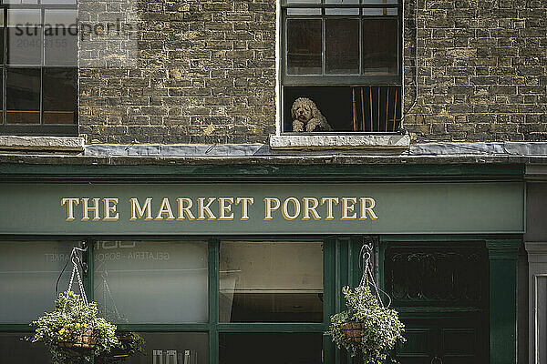 Borough Market  London Bridge  London  UK © Dosfotos/Axiom