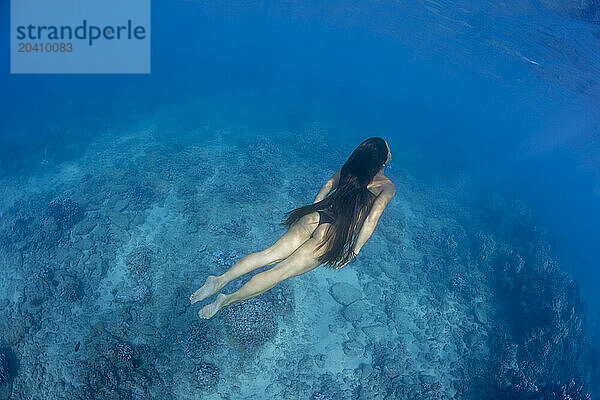 A woman (MR) kicks down below the surface over a reef off the island of Maui  Hawaii.