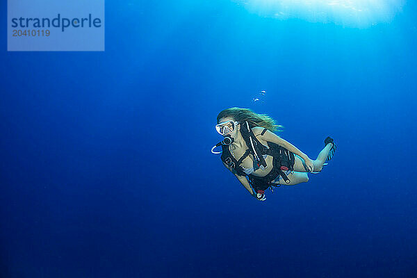 A female diver (MR) in mid water  open ocean  off the island of Yap  Micronesia.