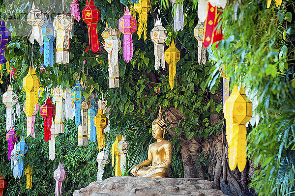 Thailand  Chiang Mai  Buddha statue and colorful lanterns