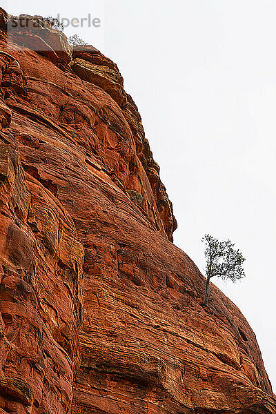 Sedona is located in the interior chaparral  semi-desert grassland  Great Basin conifer woodland biomes of northern Arizona. This is an example of the red rock that is very predominate oin the area. Many hiking trails are in the area to take in these amazing sights.