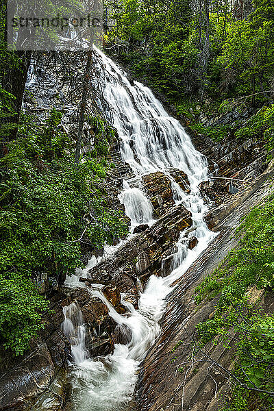 Cascading waterfalls against a rock cliff in the forest