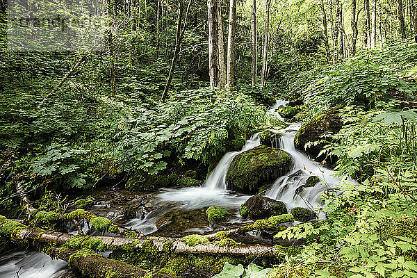 Long exposure of waterfall in the summer near Rainbow Peak Trail in Anchorage  Alaska.