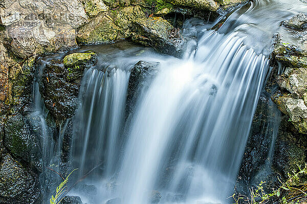 USA  Florida  Juniper Springs  Small waterfall